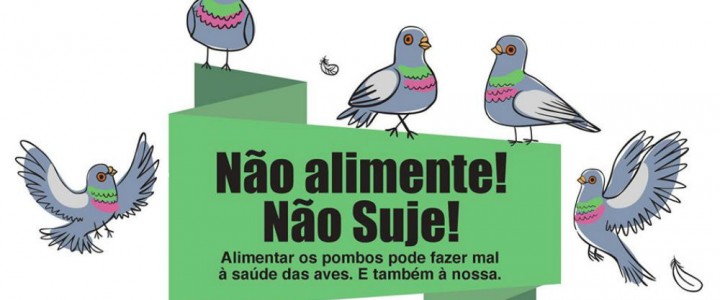 Campanha de sensibilização para não alimentar pombos